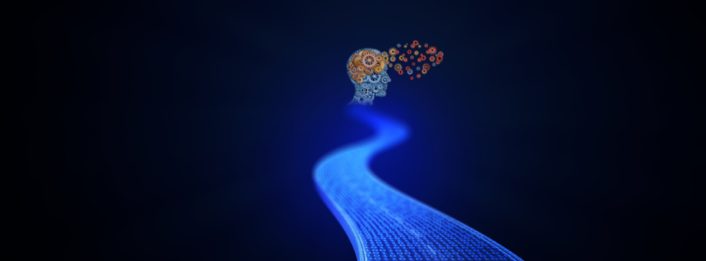 brian@brainstorm-institute.com